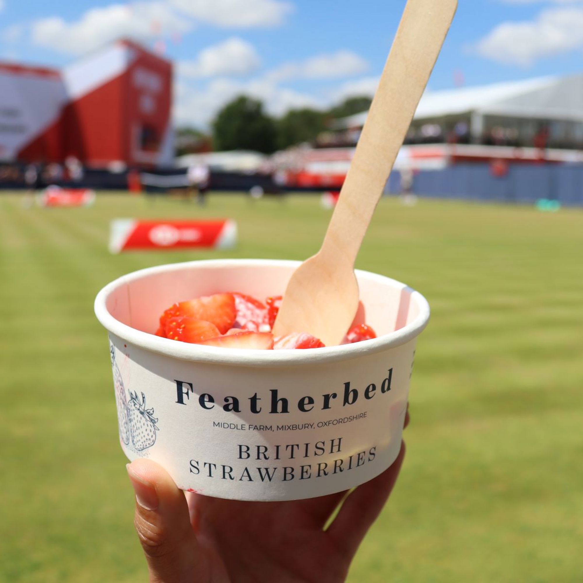 A tub of British Strawberries in front of a grass court