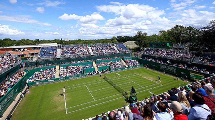 Grass court tennis match with crowd watching from stands