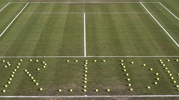 tennis ball pride