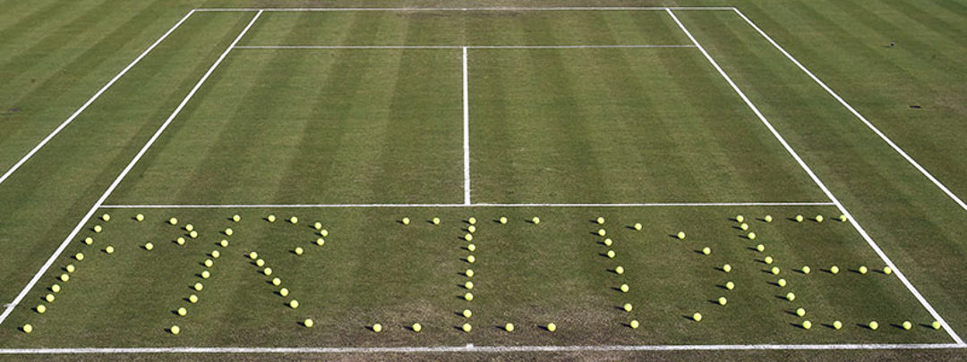 tennis ball pride