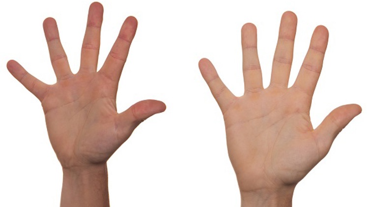Photos of hands
