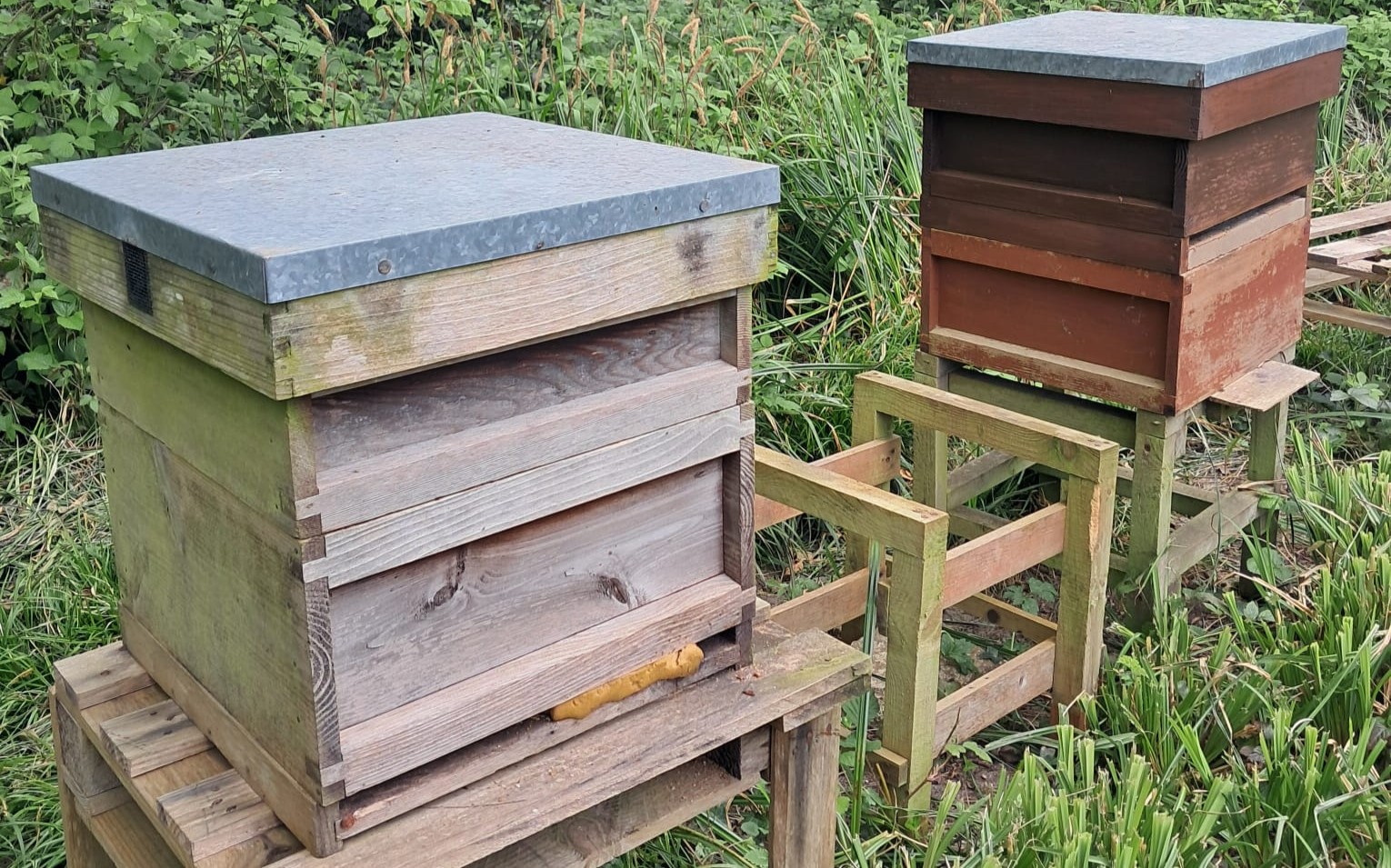 2026-Beehive-west-worthing.jpeg