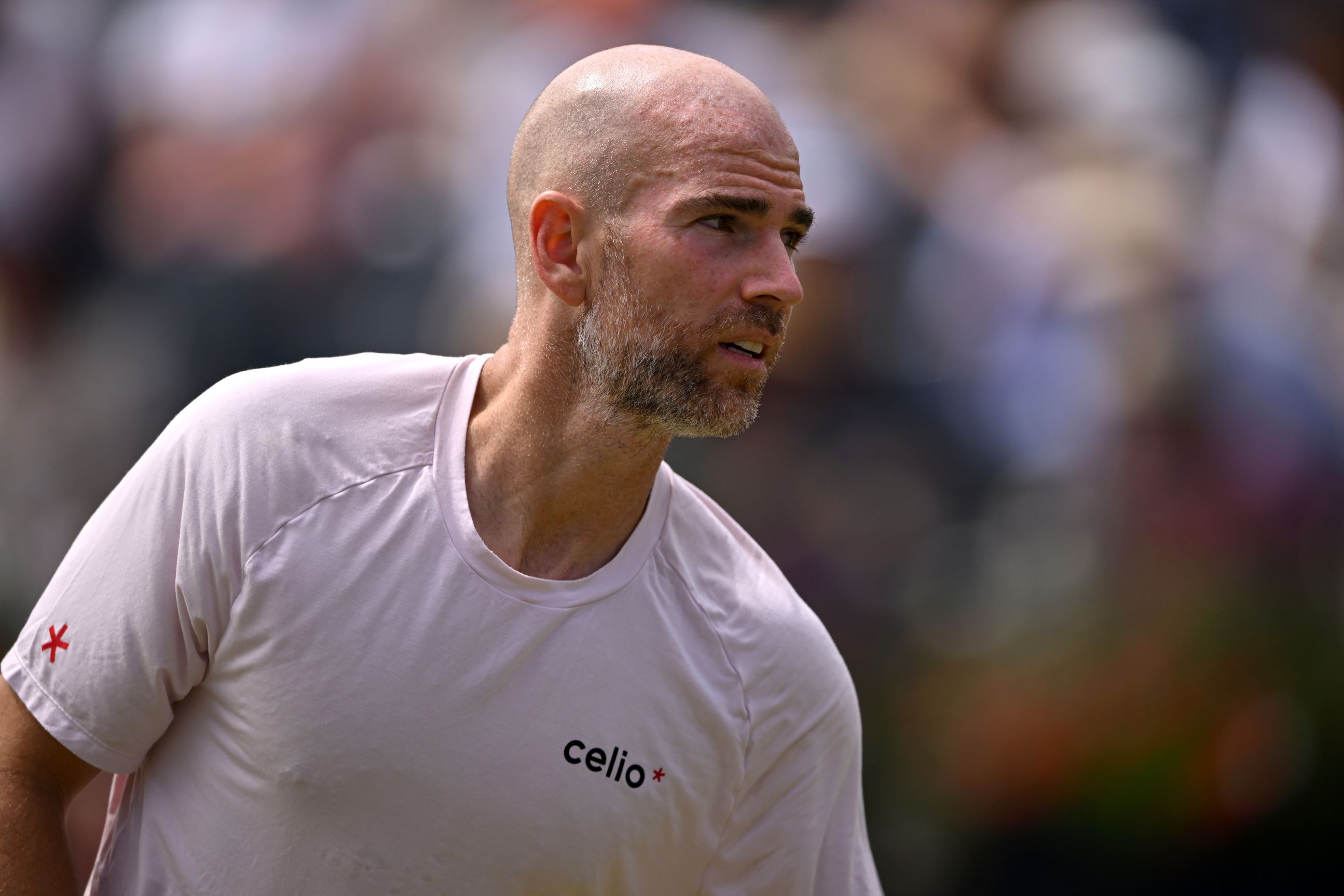 A close up shot of Adrian Mannarino at the HSBC Championships