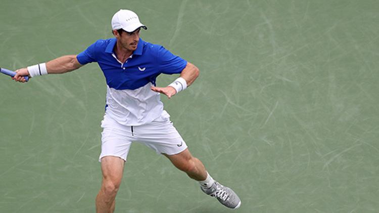 Andy Murray about to return the tennis ball in a match