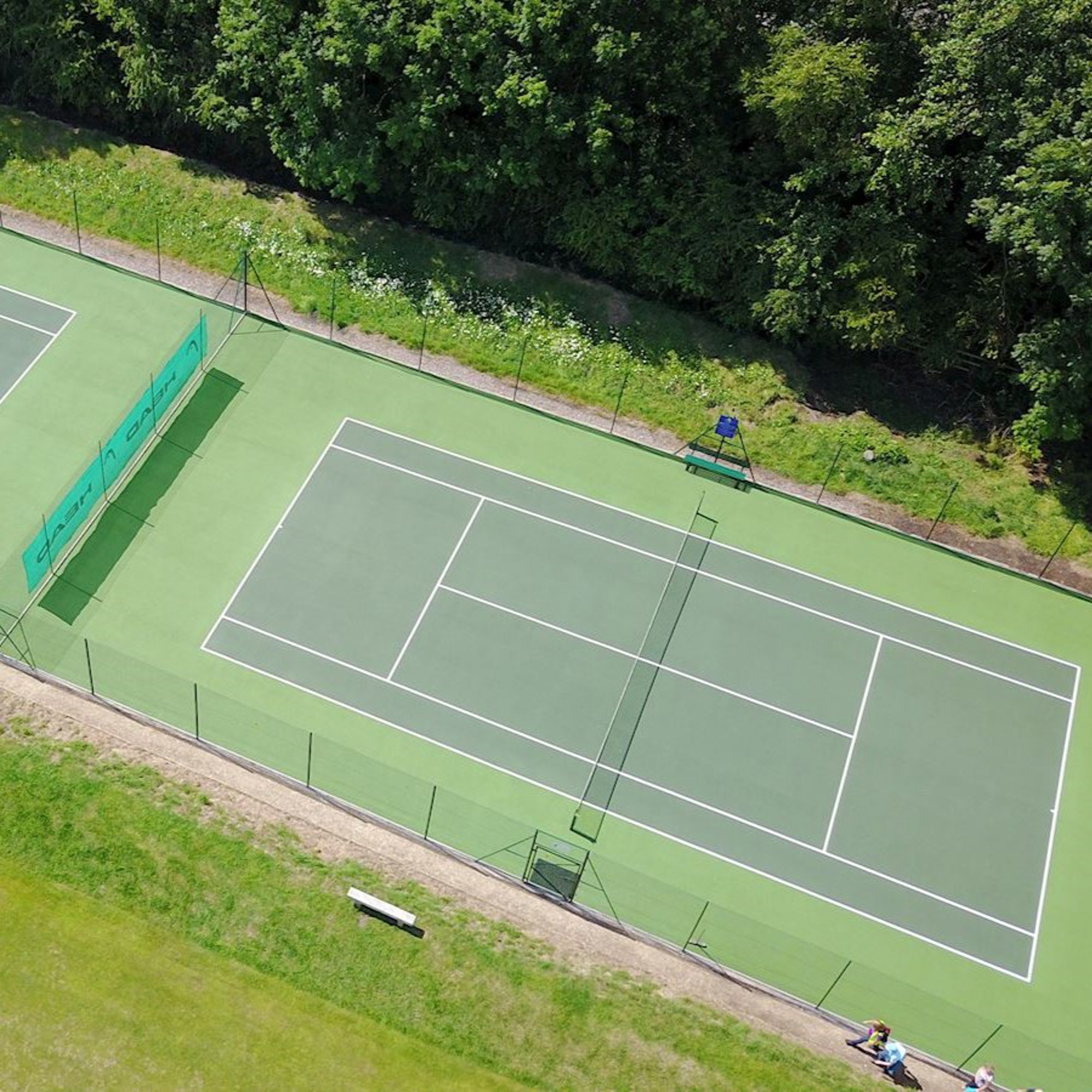 An aerial view Alrewas Tennis Club's wildflower border of their courts